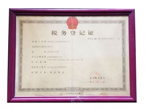 （國）稅務登記證